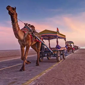 top private medical colleges in gujarat